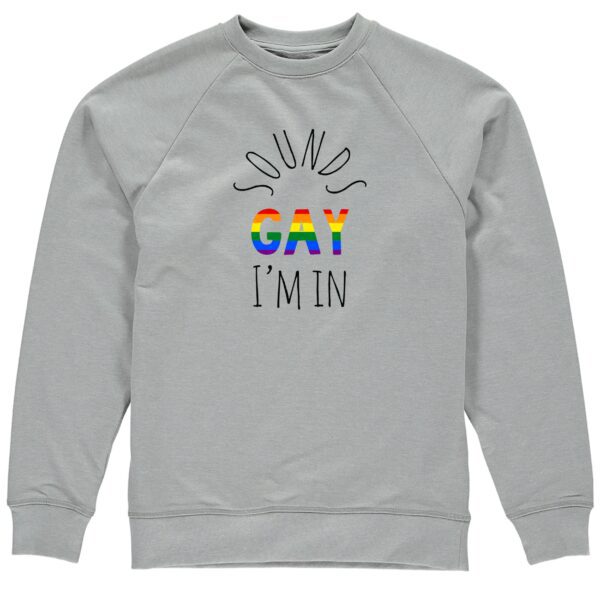 Pride Special Gay I'm In silver sweatshirt